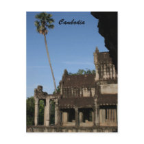 angkor tree postcards