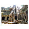 Angkor Tree posters