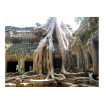Angkor Tree posters by mogplus5 Angkor Tree posters