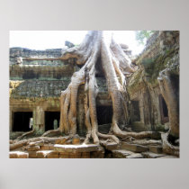 Angkor Tree Poster