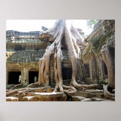 Angkor Tree Poster by mogplus5