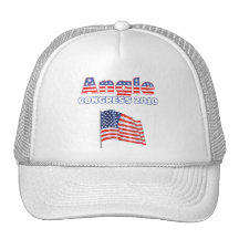 Angle Patriotic American Flag 2010 Elections Hat