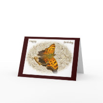 Angle Wing Butterfly (Comma) Card