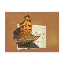 Angle Wing Comma Butterfly Series Post Cards