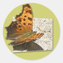 Angle Wing Comma Butterfly Series Stickers