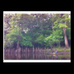 Angler's Nook PostCard Collection postcards