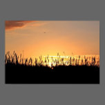 Anglesea Sunset posters