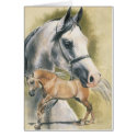Anglo-Arabian cards by BarbBarcikKeith Anglo-Arabian cards