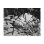 Anglo-Saxon weapons found alongside the Nydam Postcards