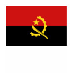 Angola Flag Map Spaghetti Top