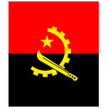 Angola High quality Flag Shirt