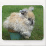 Angora Bunny on Flower Pot Mousepads