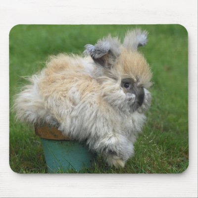 Angora Bunny on Flower Pot Mousepads by oinkpix