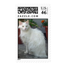 ANGORA CAT STAMP