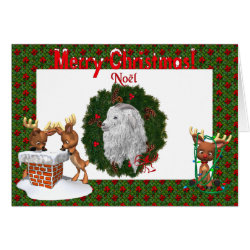 Angora Goat Christmas Card
