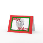 Angora Goat  Holiday Christmas cards