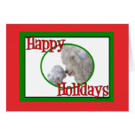Angora Goat Mom and Baby Holiday Christmas cards