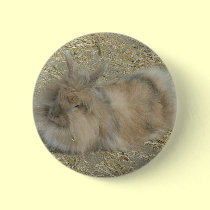 Angora rabbit buttons