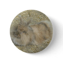 Angora rabbit buttons