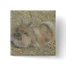 Angora rabbit buttons