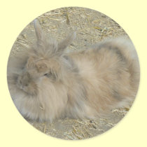 Angora rabbit stickers