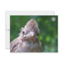 angry baby bird invitations by meallman angry baby bird invitations