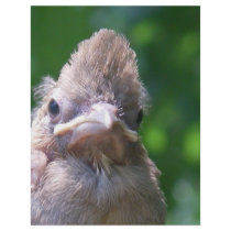 angry baby bird letterhead