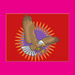 Angry Bald Eagle Landing Post Card