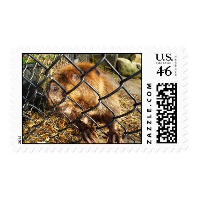 Angry Beaver Stamp by NatureCraze