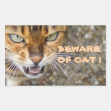 Angry Bengal Cat Rectangle Stickers