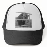 Angry Bull Hats