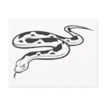 Angry Burmese Python Postcard