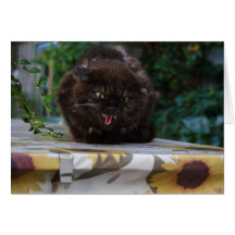 Angry Cat Greeting Card