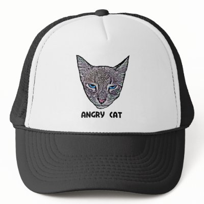 Angry Cat Hats by wingedturtle