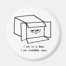 Angry Cat Hides in a Box Magnet