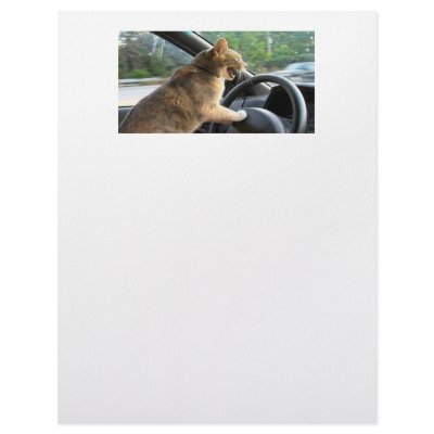 Angry Cat Letterhead Design by maximus7