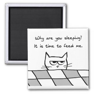 Angry Cat Wants You Out of Bed Fridge Magnets