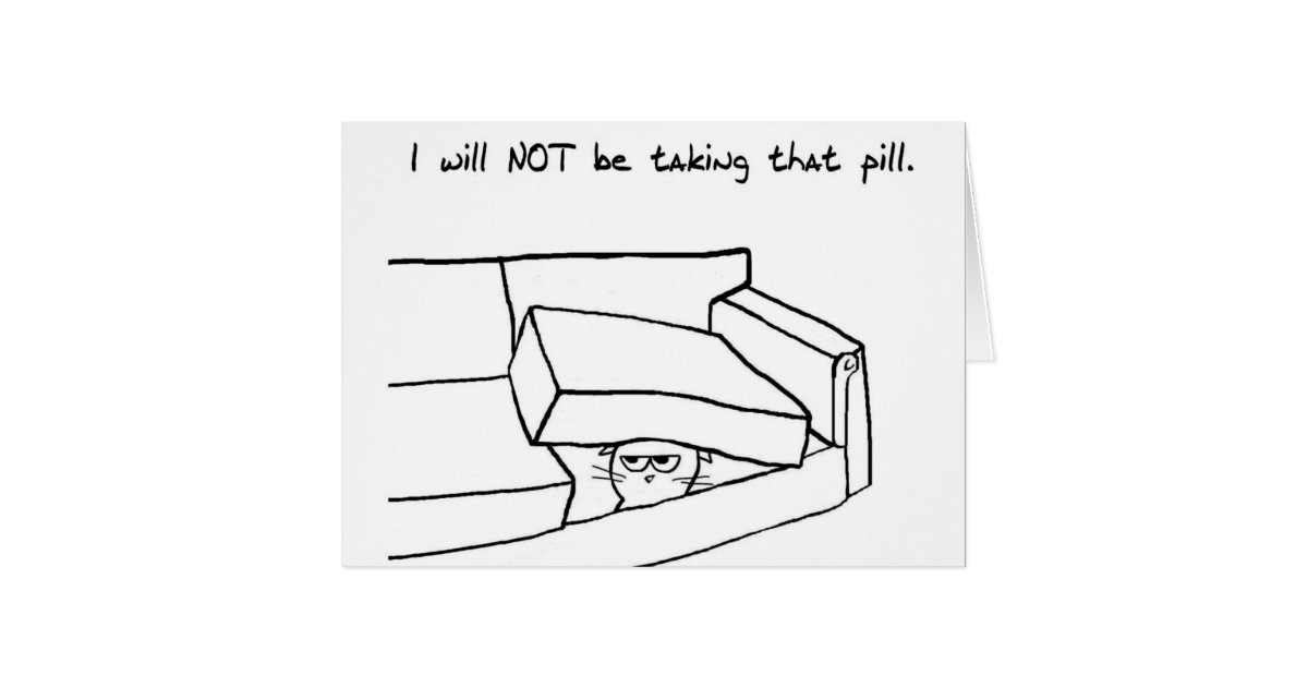 How Can I Get My Cat To Take A Pill How Can I Get My Cat To Take A Pill