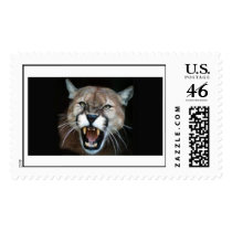 Angry Cougar Stamp by billie1896 Angry Cougar Stamp