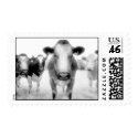 Angry Cows Postage postage