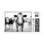 Angry Cows Postage