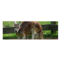 Angry Kangaroo Business Card