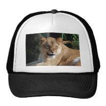 Angry Lioness Hats