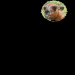 Angry Llama Bad Mood Humorous Funny T Shirt