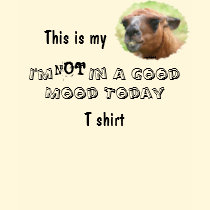 Angry Llama Bad Mood Humorous Funny T Shirt