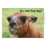 Angry Llama Humorous 30th Birthday Card