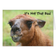 Angry Llama Humorous 30th Birthday Card