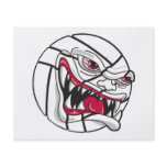 angry mean volleyball extreme flyers