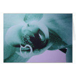 Angry Orchid Greeting Cards