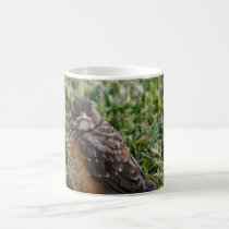 Angry Robin Chick Mug mugs